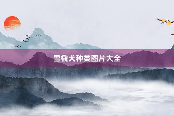 雪橇犬种类图片大全